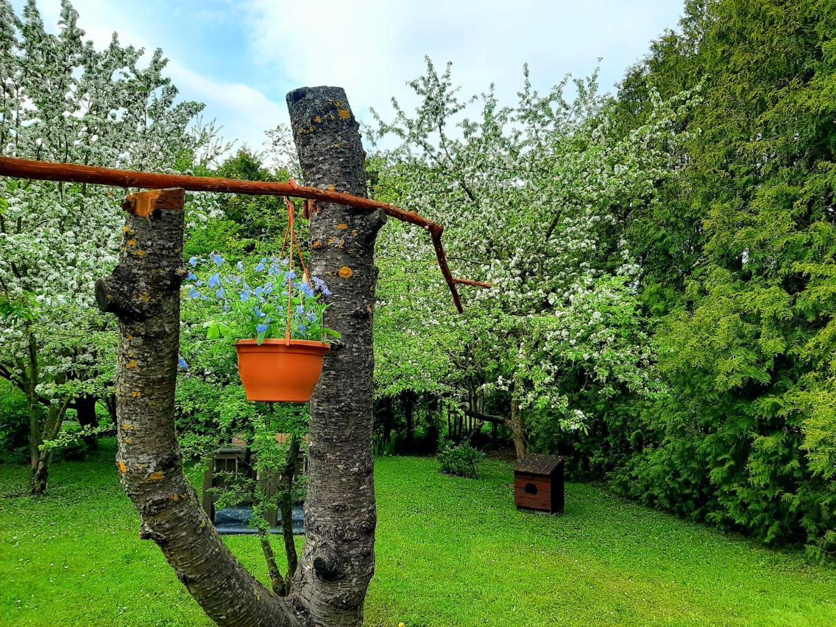 Champetre Park View Apartments Riga Dış mekan fotoğraf